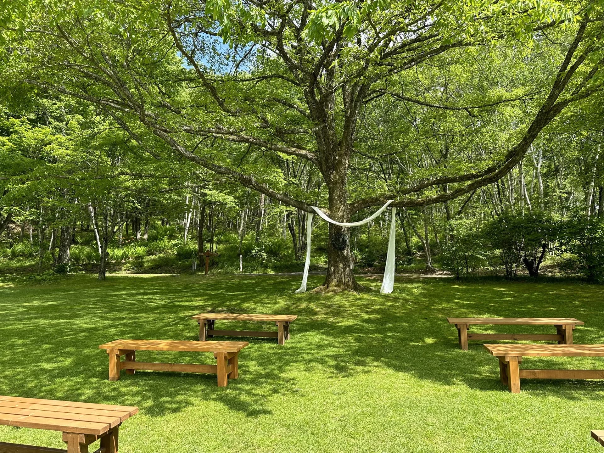 Yatsugatake Outdoor Wedding